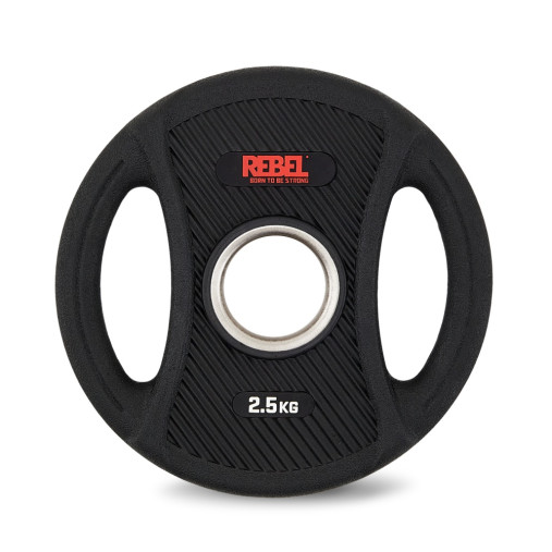 Диск олимпийский обрезиненный с двумя хватами 2,5 кг REBEL