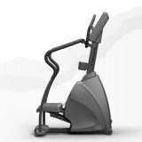 Matrix Endurance LED Степпер  